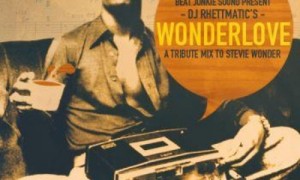 Stevie Wonderlove