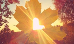 fallfeatpic