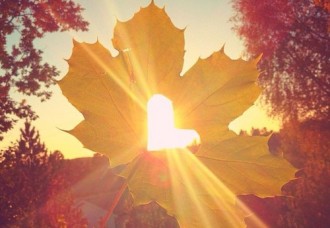 fallfeatpic