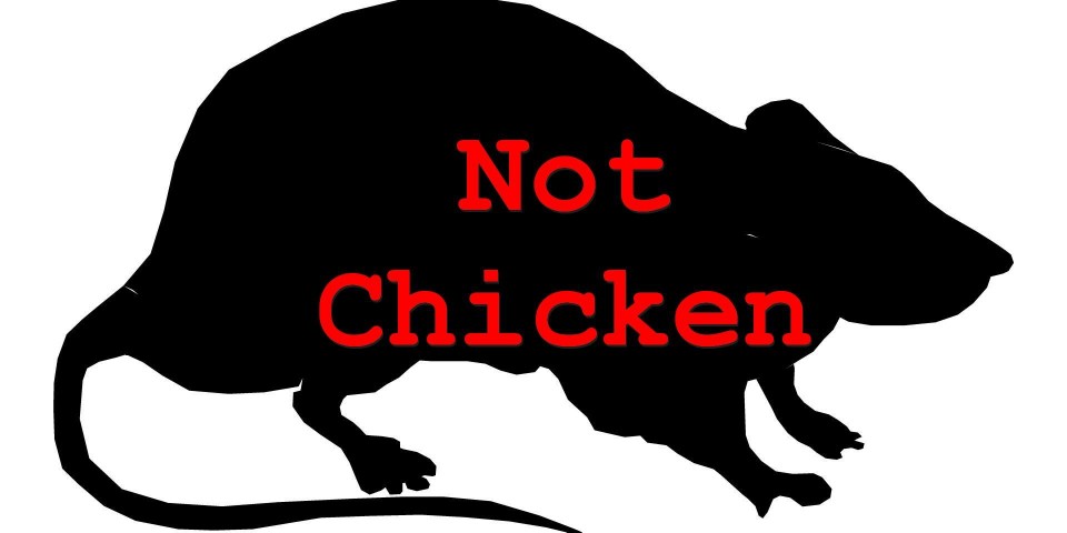 ratnotchicken